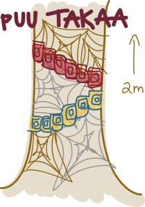 puu_takaa