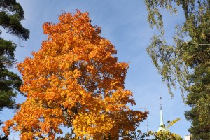 Tervetuloa syyskokoukseen!